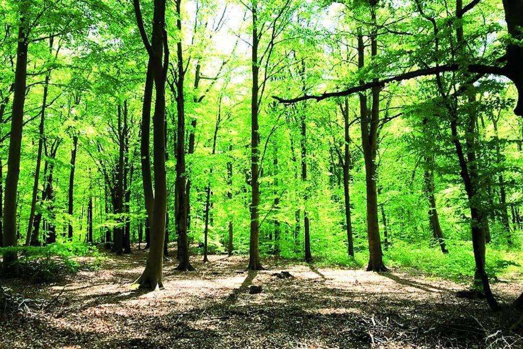 Ostsee-Ferienwohnung Uhlnuest Graal-Mueritz Gelbensande Εξωτερικό φωτογραφία